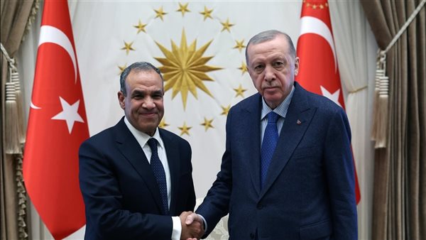 وزير الخارجية د. بدر عبد العاطي والرئيس التركي أردوغان