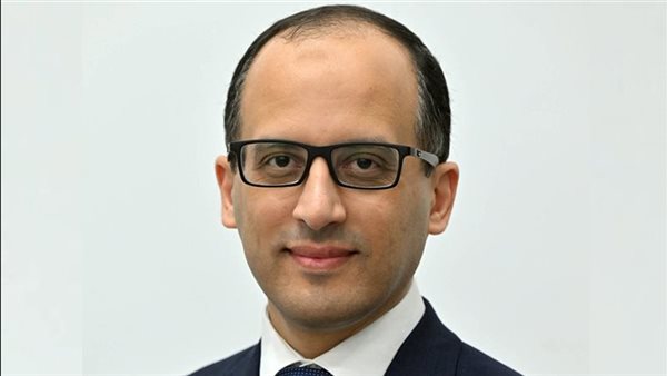 المستشار محمد الحمصاني، المتحدث الرسمي باسم مجلس الوزراء