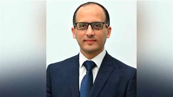 المستشار محمد الحمصاني