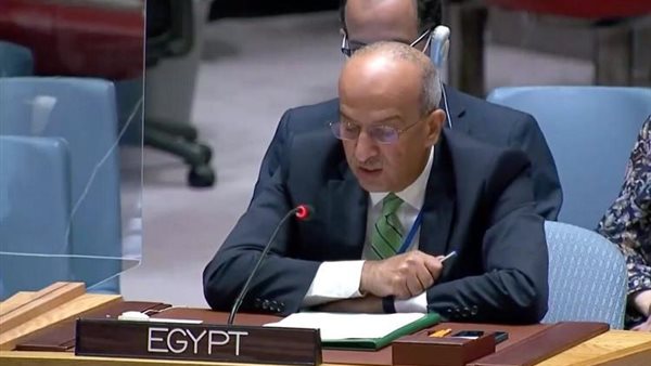 السفير أسامة عبد الخالق