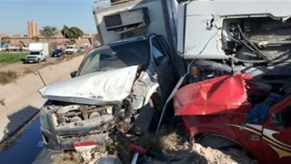 أسماء ضحايا حادث المنيا اليوم