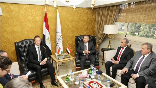 لقاء كامل الوزير مع وزير خارجية المجر