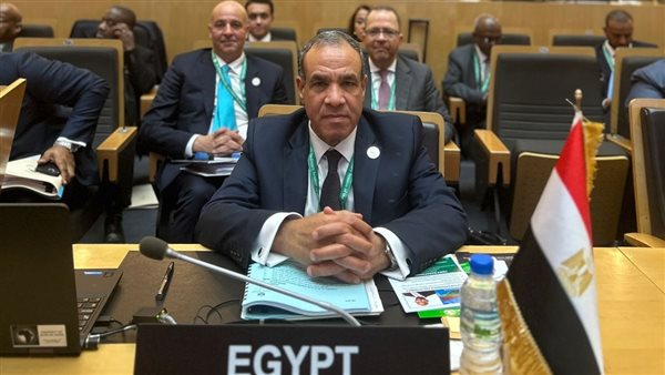 الدكتور بدر عبد العاطي، وزير الخارجية