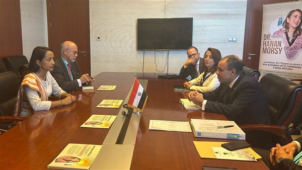 الدكتور بدر عبد العاطي، وزير الخارجية