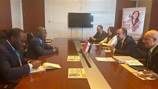 الدكتور بدر عبد العاطي، وزير الخارجية