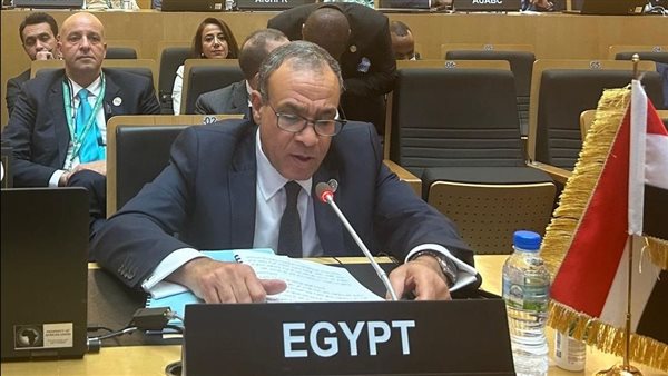 الدكتور بدر عبد العاطي، وزير الخارجية