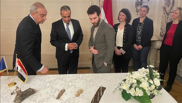الدكتور بدر عبد العاطي، وزير الخارجية