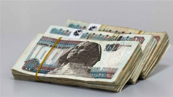 الاستعلام عن منحة العمالة الغير منتظمة