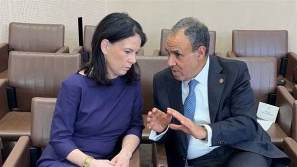 الدكتور بدر عبد العاطي، وزير الخارجية