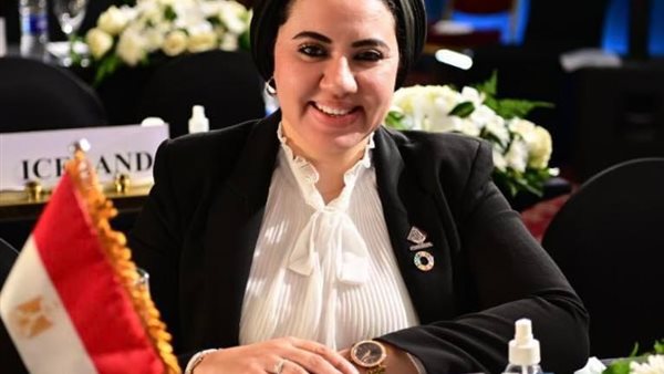 النائبة أميرة صابر، نائب رئيس الحزب المصري