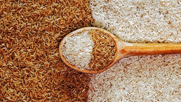 سعر طن الأرز الشعير اليوم