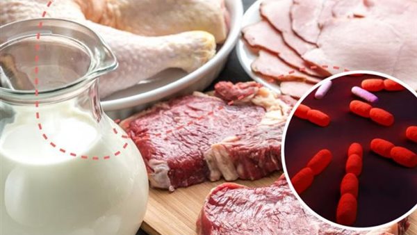 وفاة 12 وإصابة 38 شخصًا في أمريكا بمرض الليستيريا 