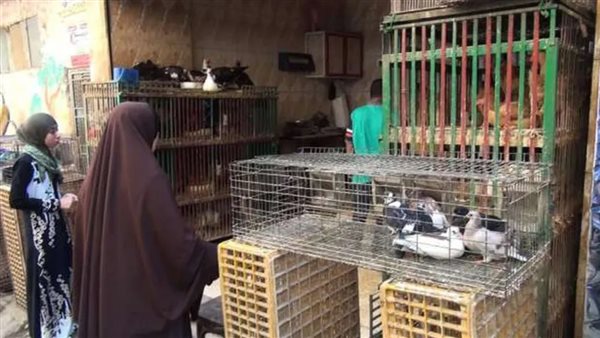 حادثه كفر الجزار