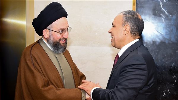 الدكتور بدر عبد العاطي وزير الخارجية
