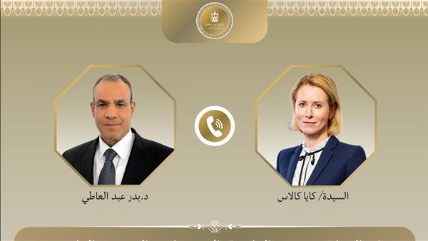 الدكتور بدر عبد العاطي، وزير الخارجية