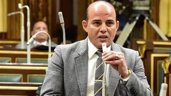 النائب عمرو القطامي عضو مجلس النواب