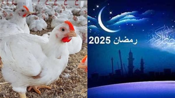 اسعار الفراخ اول يوم رمضان 2025