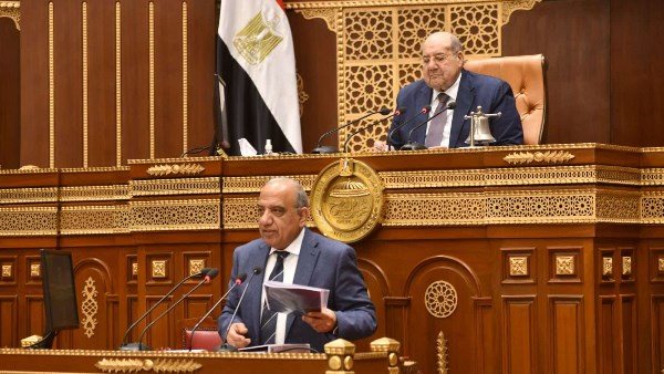  الدكتور محمود عصمت، وزير الكهرباء