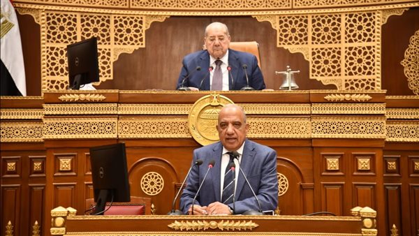 وزير الكهرباء أمام مجلس الشيوخ