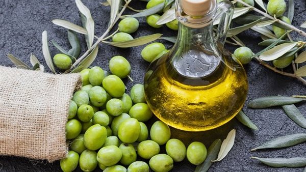 انتاج الزيتون فى مصر