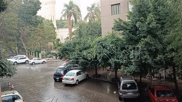 أمطار رعدية تضرب الجيزة