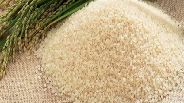 سعر طن الأرز الشعير اليوم
