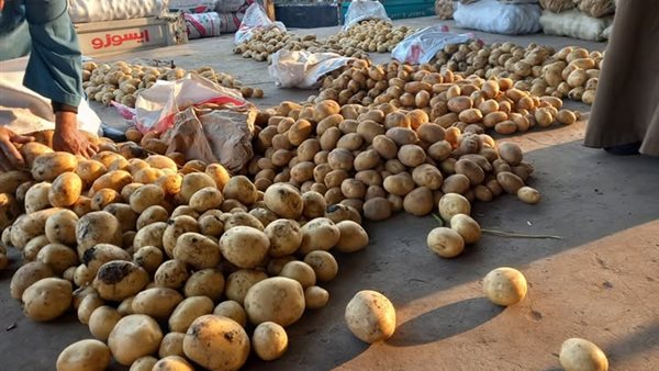 أسعار الخضروات في سوق العبور اليوم 