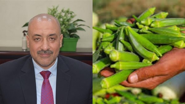 حاتم النجيب، نائب رئيس شعبة الخضروات والفاكهة باتحاد الغرف ا
