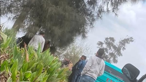 حادث انتحار الشرقية اليوم 