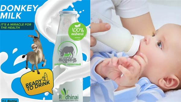 فوائد حليب الحمير للأطفال.. هل يعد بديلا لـ لبن الأم؟