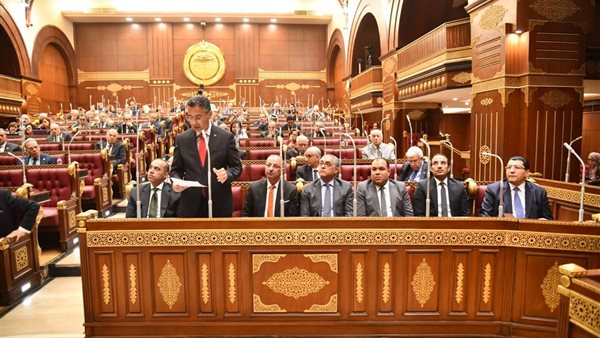 وزير التموين أمام مجلس الشيوخ