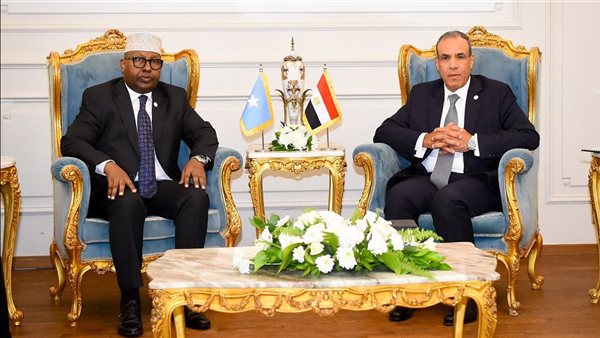 وزيرا خارجية مصر والسودان