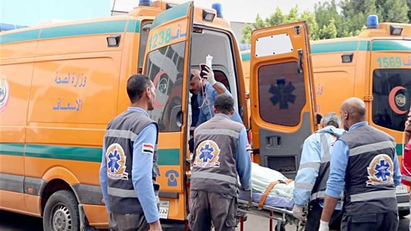 شاب يودي بحياة والدته.. قام بتهشيم رأسها لهذا السبب