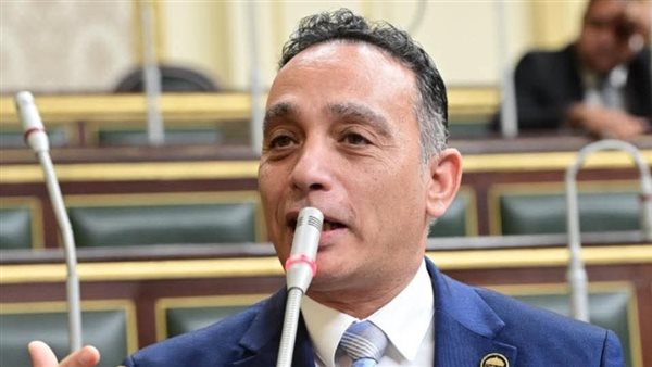 الدكتور فريدي البياضي، نائب رئيس الحزب المصري الديمقراطي 