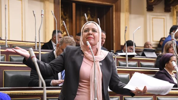 النائبة ريهام عبد النبي، عضو مجلس النواب