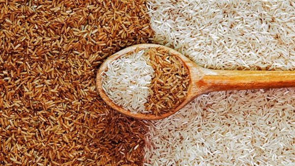 سعر الأرز الشعير اليوم