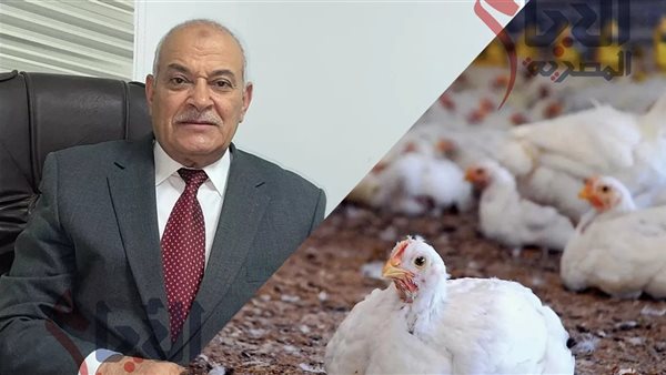 اسعار الدواجن بعد زيادة أسعار البنزين والسولار