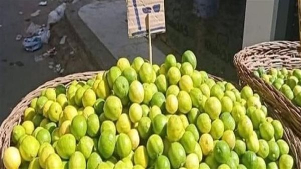 سبب ارتفاع اسعار الليمون