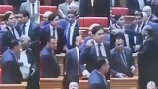 حقيقة فيديو خناقة ضياء الدين داود في مجلس النواب