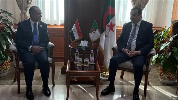 الدكتور بدر عبد العاطي، وزير الخارجية والهجرة