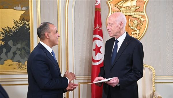 عبد العاطي يسلم رسالة خطية من الرئيس السيسي لنظيره التونسي