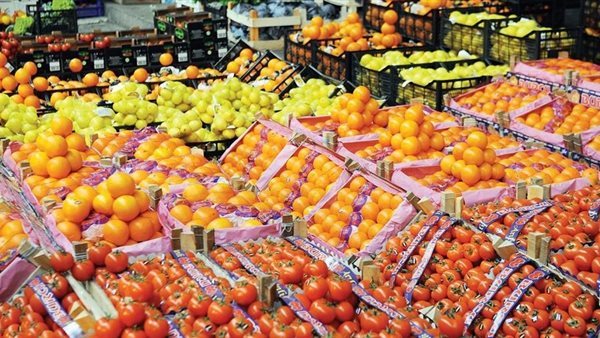 أهم الصادرات الزراعية في الربع الأول عام 2025