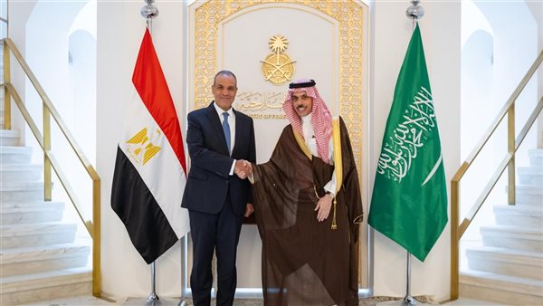 وزراء خارجية مصر والسعودية