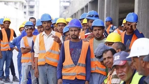 الإحصاء: 620 ألف عامل بالقطاع العام وقطاع الأعمال في 2024