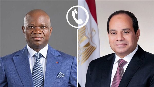 الرئيس السيسي ونظيره الجابوني 