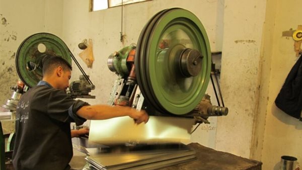 الدكتور فرج عبد الله، أستاذ الاقتصاد