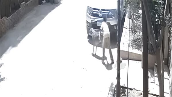 تحرش طفل بكلب في حدائق الاهرام 