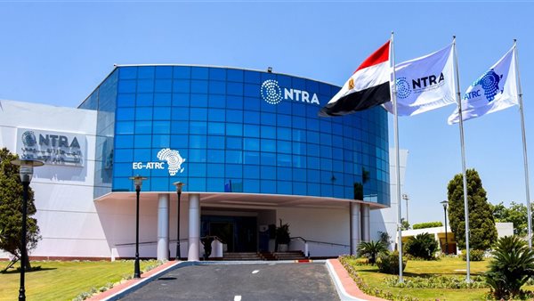 المركز المصري الأفريقي ينظم دورة تدريبية دولية حول جودة 