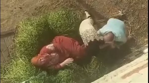 فيديو التعدي على سيدة الدقهلية