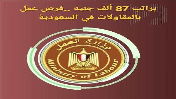 برواتب تصل إلى 87 ألف جنيه، وزارة العمل تعلن عن فرص للمصريين